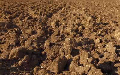 Jesenska gnojidba višegodišnjih nasada